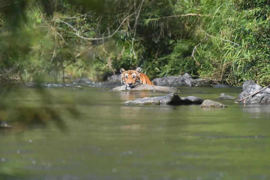Kaeng Krachan National Park, Thailand